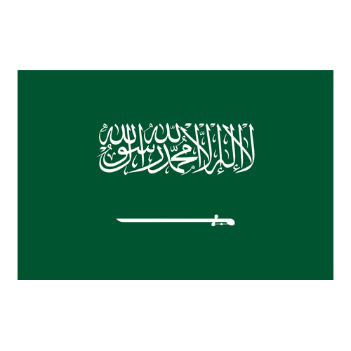 Logo da equipe Arábia Saudita