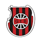 Logo da equipe Brasil de Pelotas