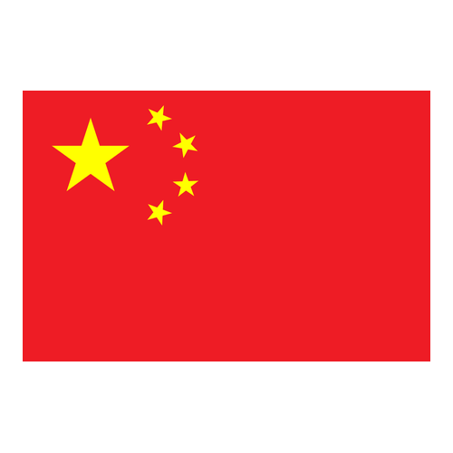 Logo da equipe China