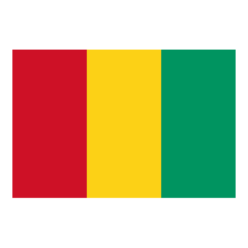 Logo da equipe Guiné