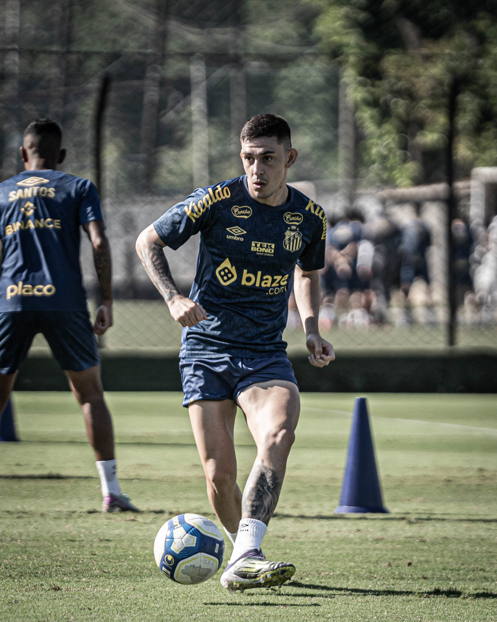 Imagem ilustrativa para a matéria