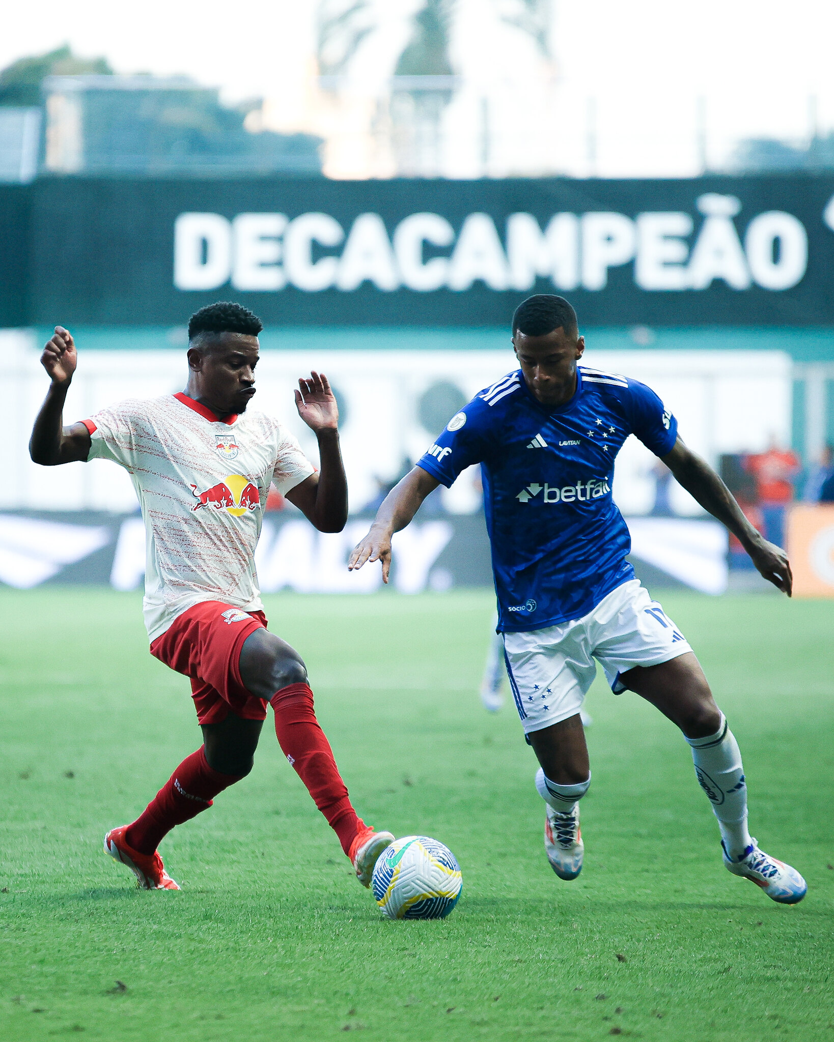 Imagem ilustrativa para a matéria