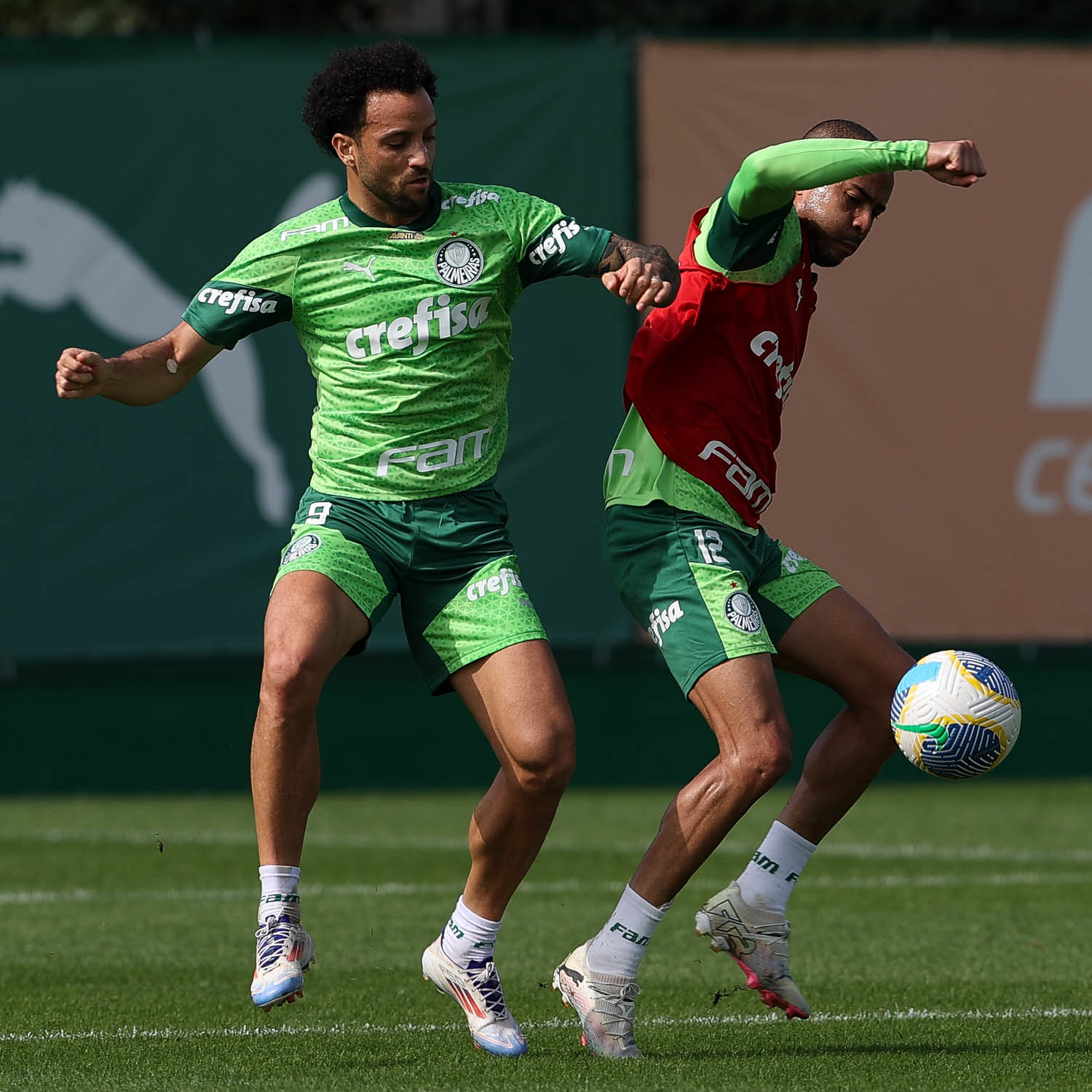 Galeria de Fotos da Reapresentação do Palmeiras: Domingo de Preparação Intensa