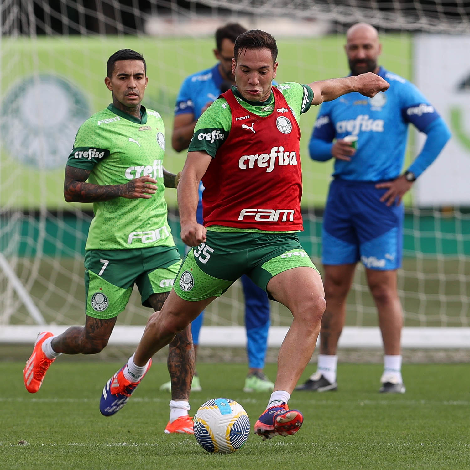 Galeria de Fotos da Reapresentação do Palmeiras Após Treino desta Quinta-feira