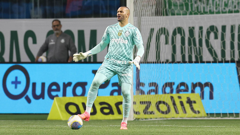 Weverton (Foto: Cesar Greco/Palmeiras)