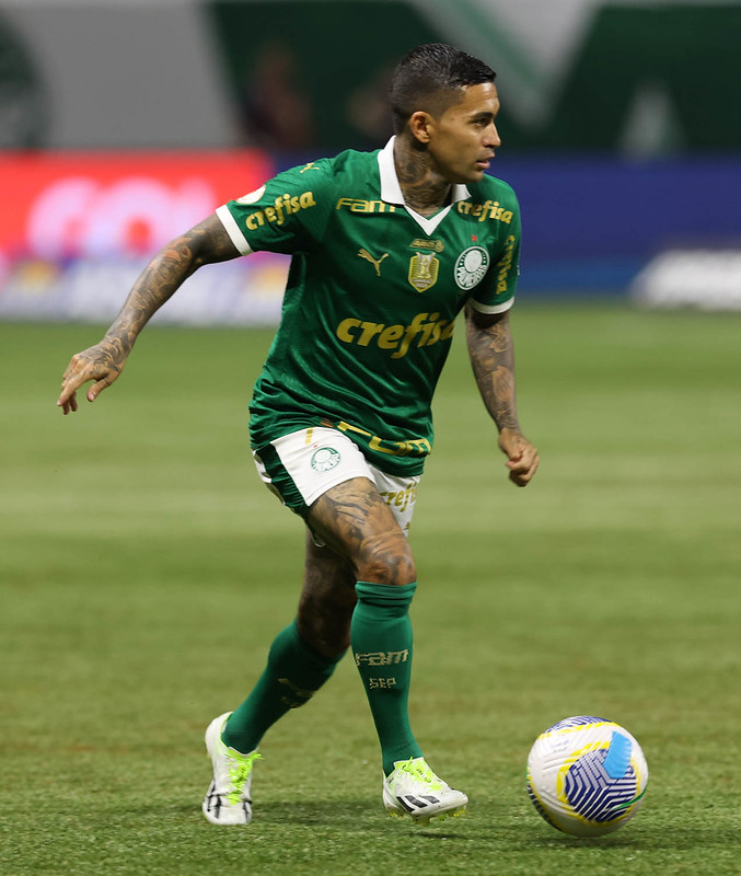 Dudu (Foto: Cesar Greco/Palmeiras)
