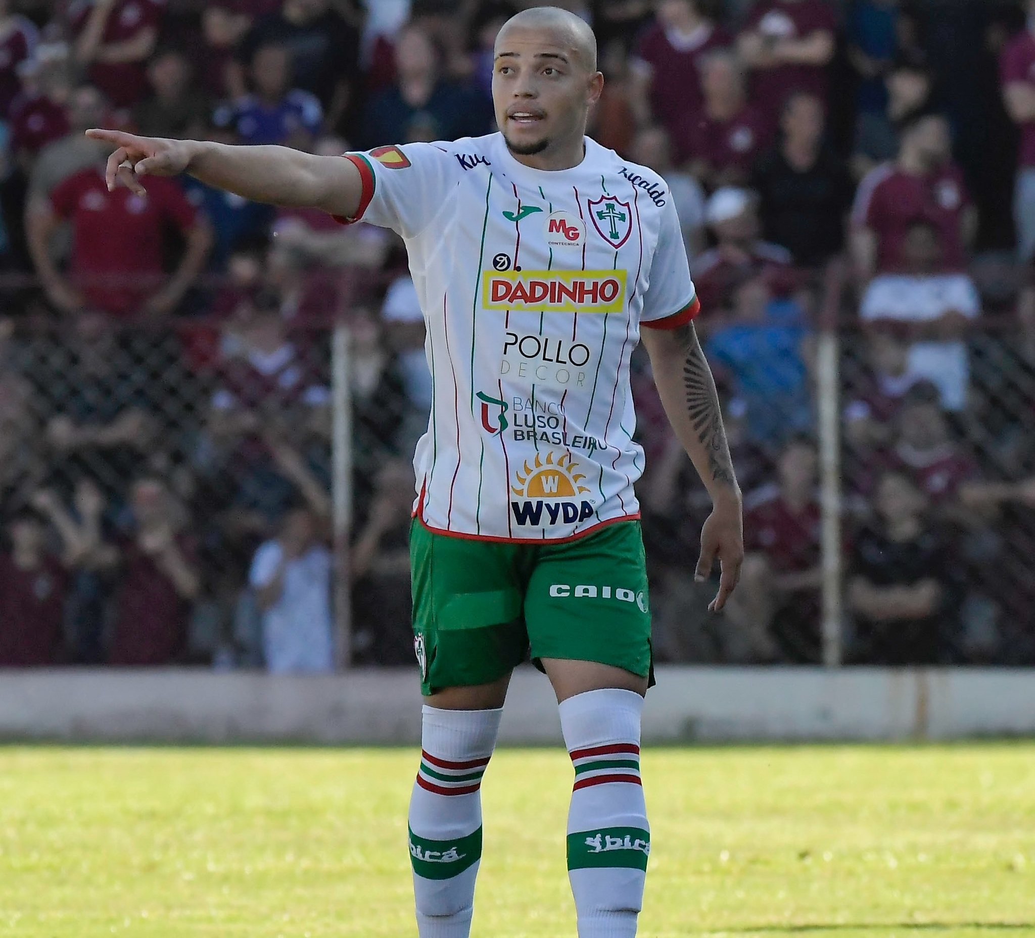 Imagem ilustrativa para a matéria