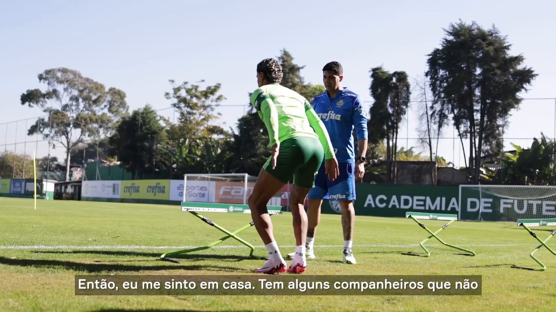 Palmeiras chega ao Rio de Janeiro para confronto pelo Brasileirão.