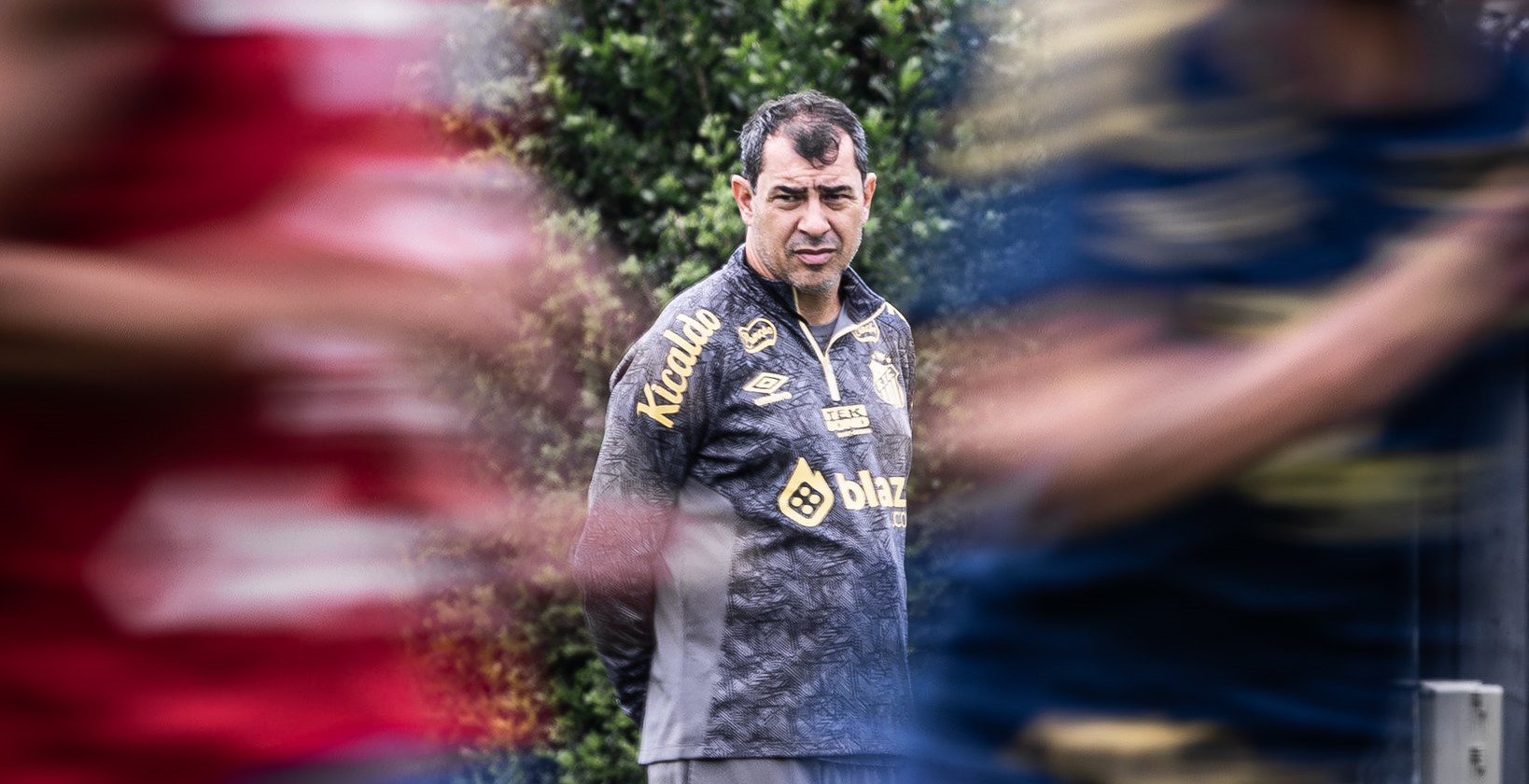 Imagem ilustrativa para a matéria