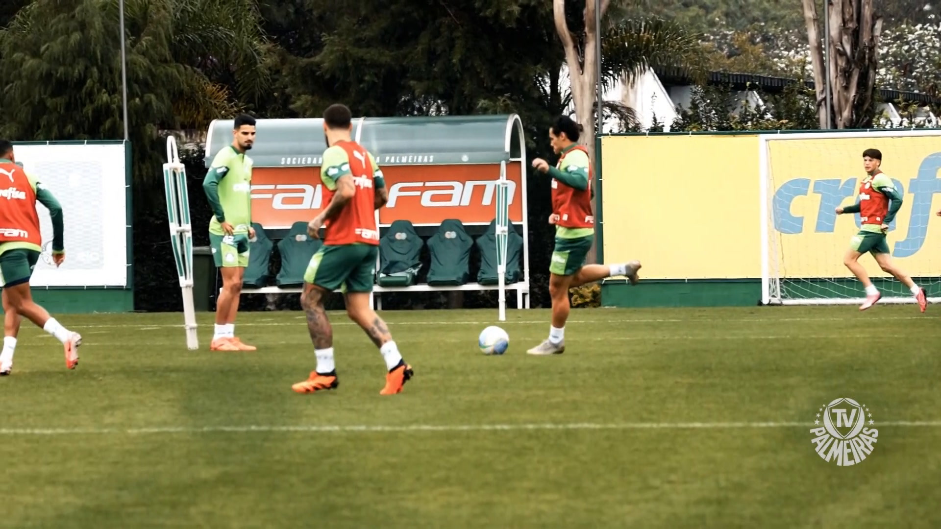 Palmeiras enfrenta desafio nas oitavas da Copa Libertadores no Rio de Janeiro