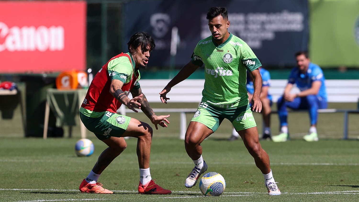 Último treino do Palmeiras antes de duelo com o Internacional: galeria de fotos