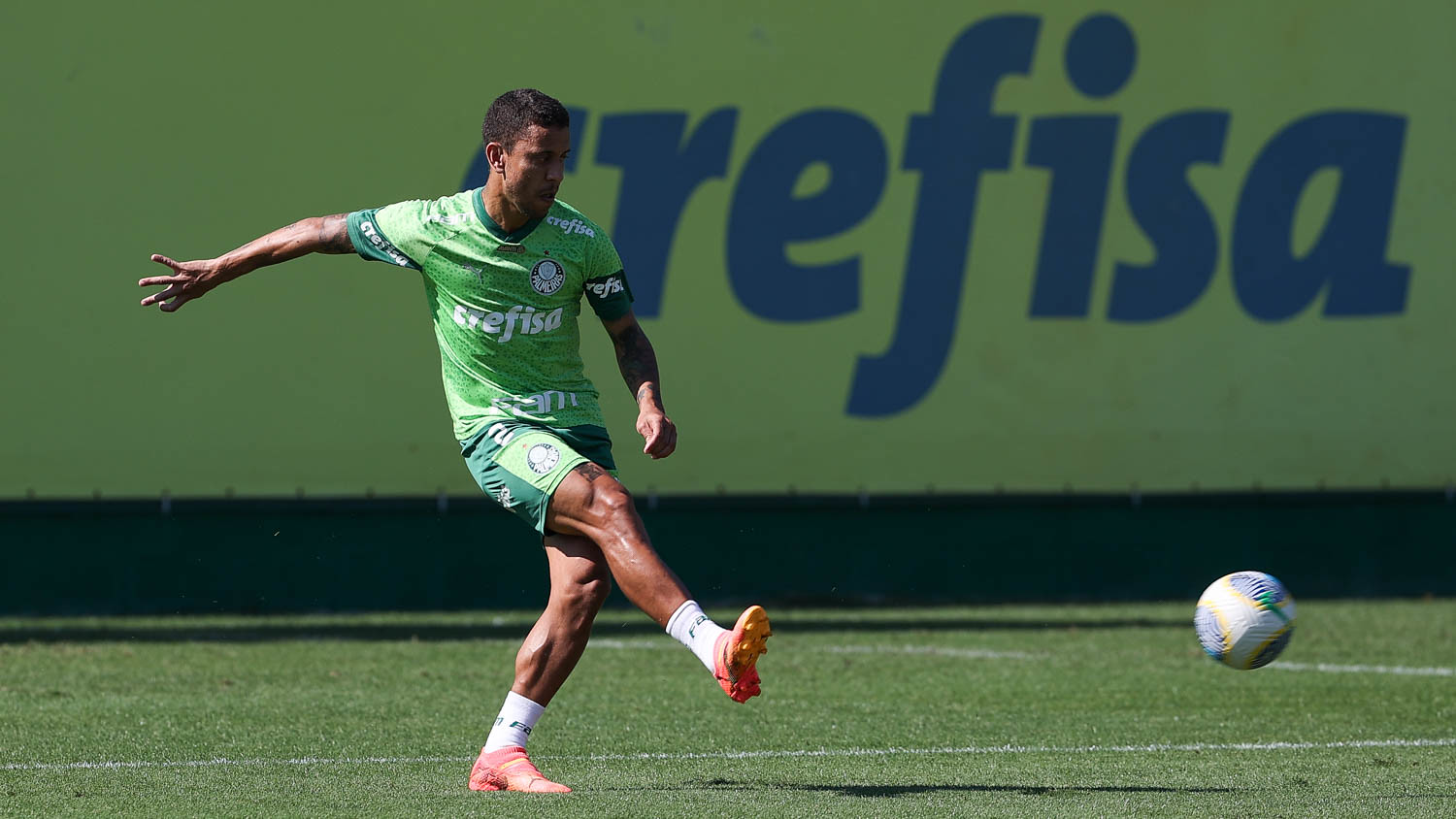 Palmeiras confiante em avançar na Copa do Brasil no Allianz