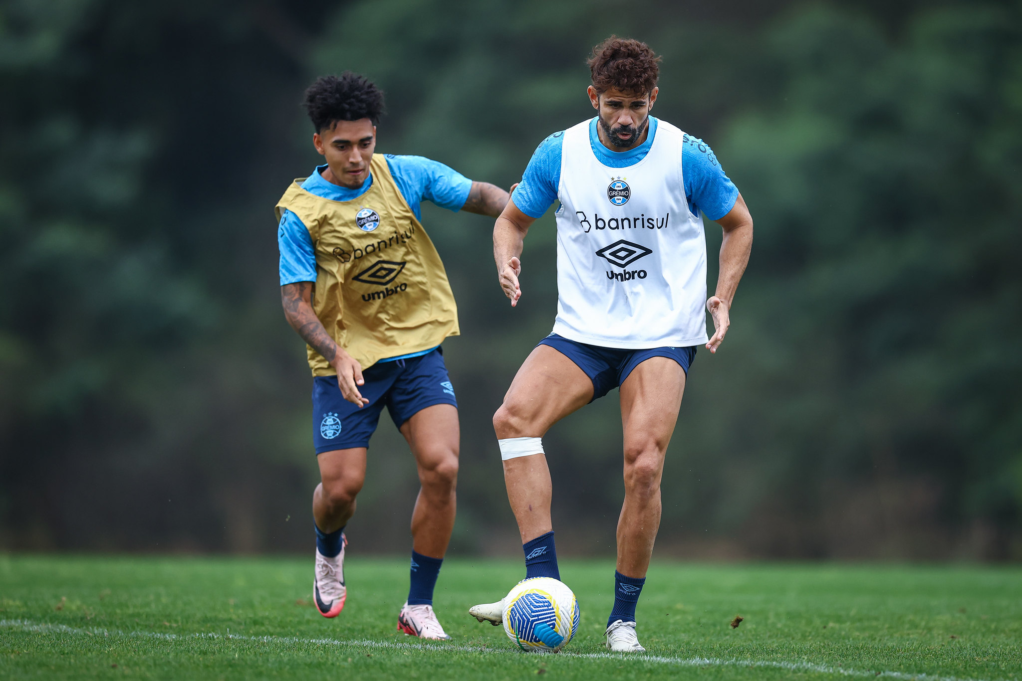 Reapresentação do Grêmio: Imagens da preparação para os próximos desafios.