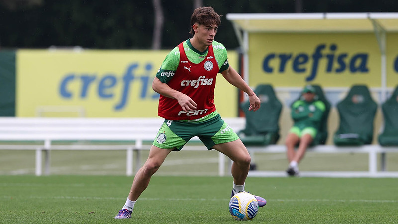 Palmeiras Demonstrando Resiliência e Importância da Adaptação no Processo de Evolução