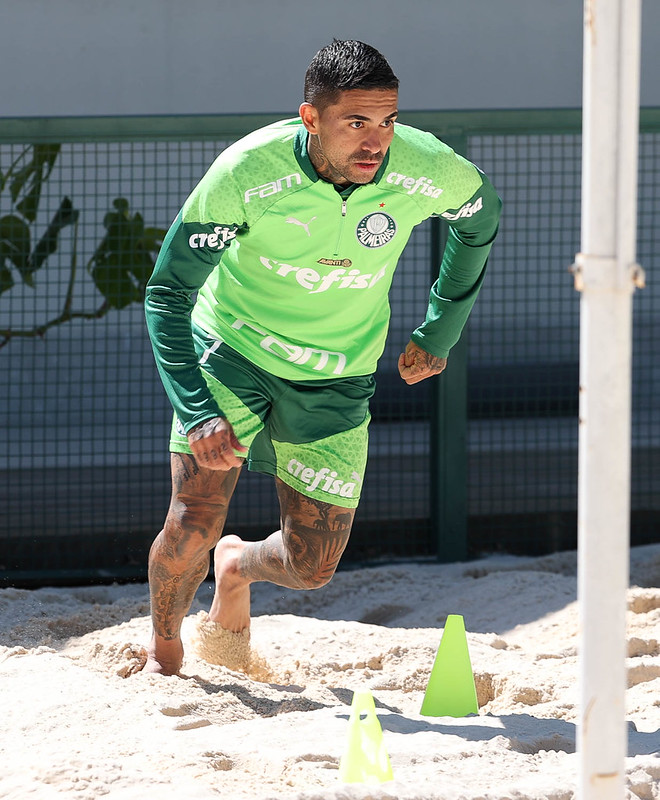 Exames no Palmeiras detectam lesão na panturrilha de Dudu. Confira situação do jogador.