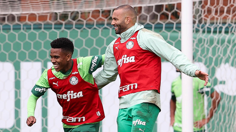 Treino do Palmeiras: Imagens do Treinamento desta Terça-feira.