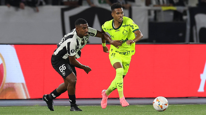 Palmeiras busca virada contra Botafogo com apoio da força do Allianz