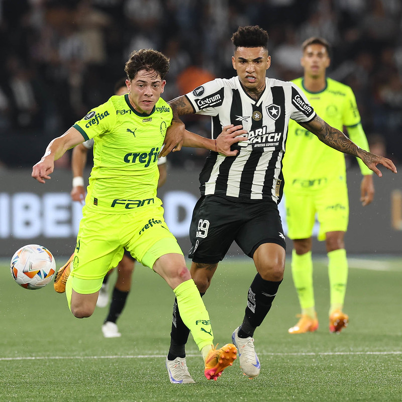 Análise: Desempenho no jogo do Palmeiras contra o Botafogo na Libertadores.