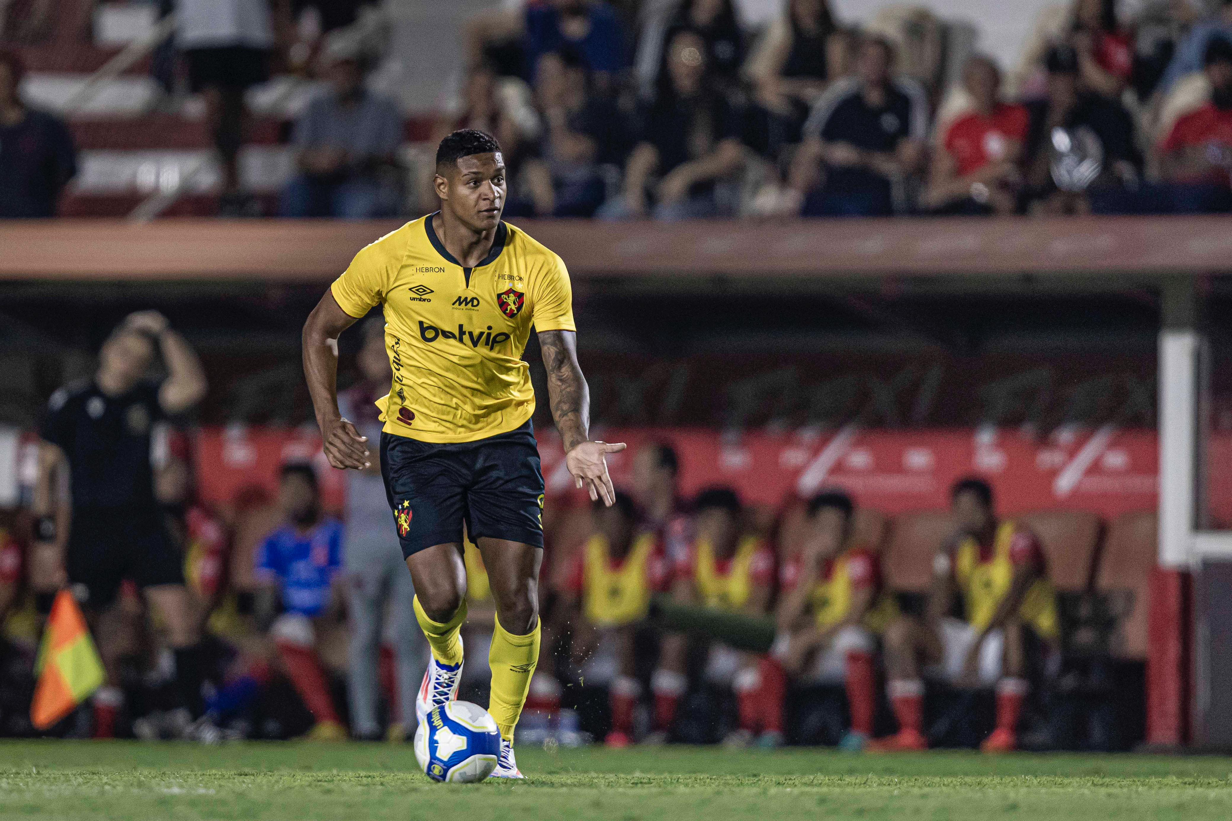 Imagem ilustrativa para a matéria