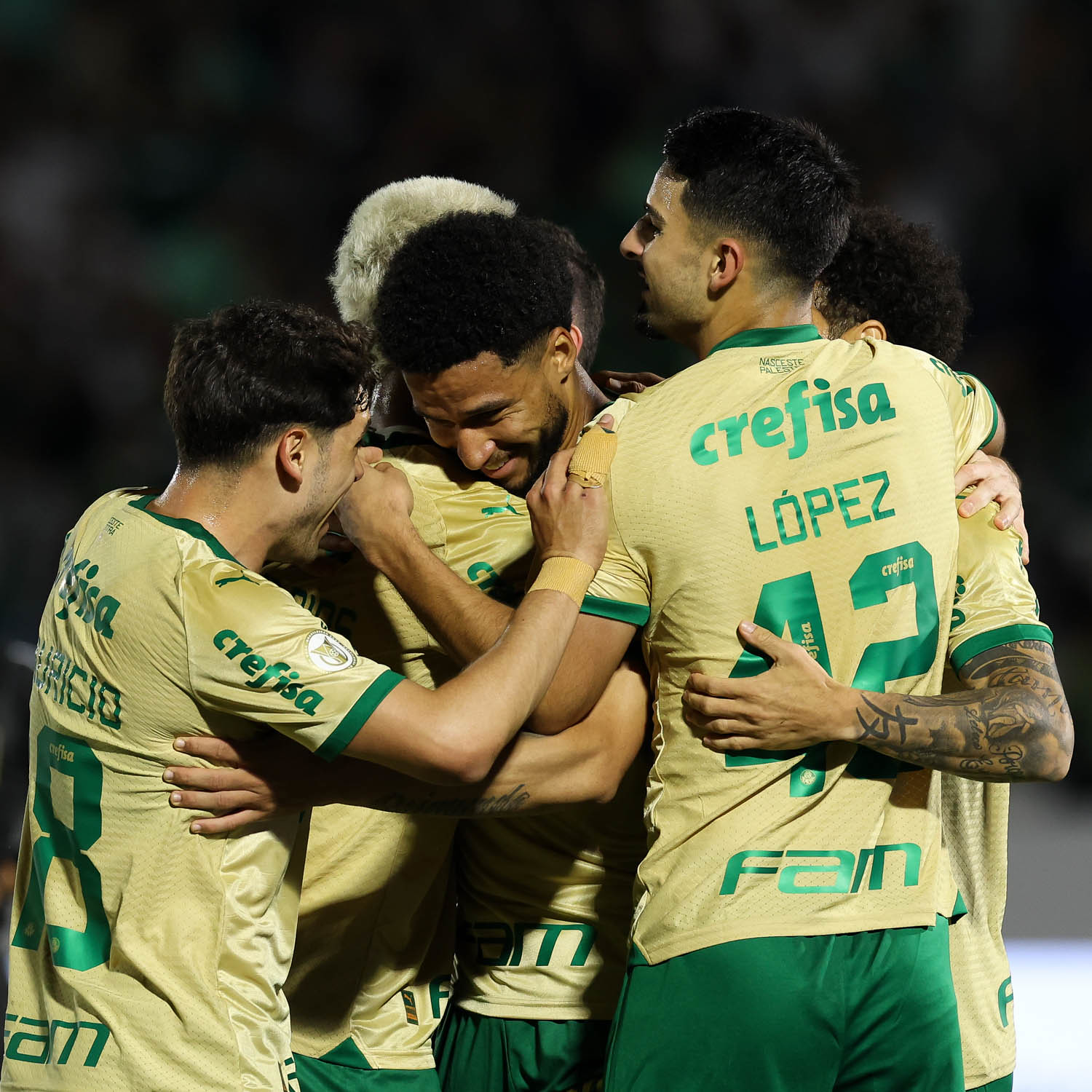 Palmeiras terá semana com apenas um jogo após eliminações em Copas, confira programação.
