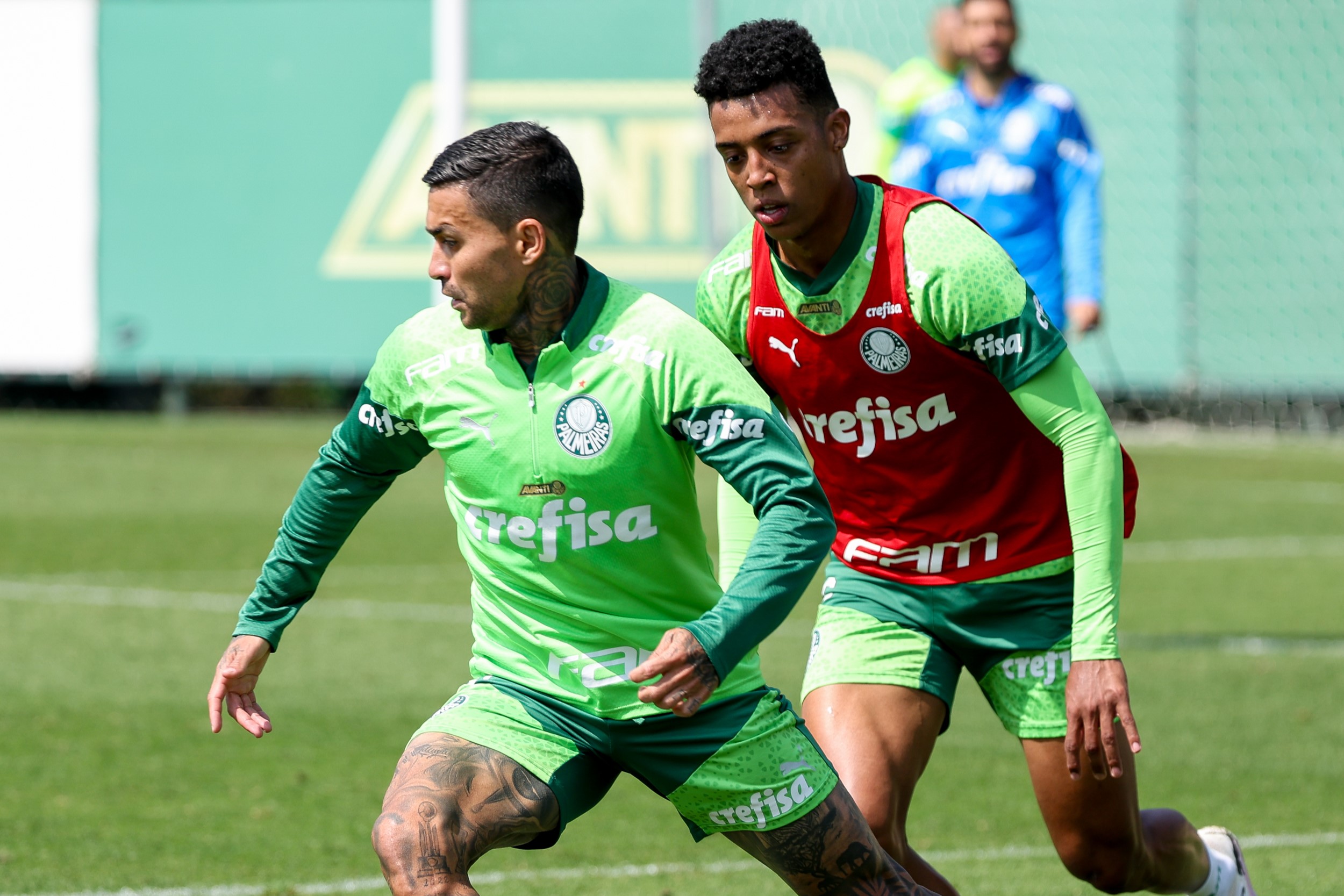 Treino do Palmeiras na Academia de Futebol: Galeria de Fotos desta Quinta-feira.