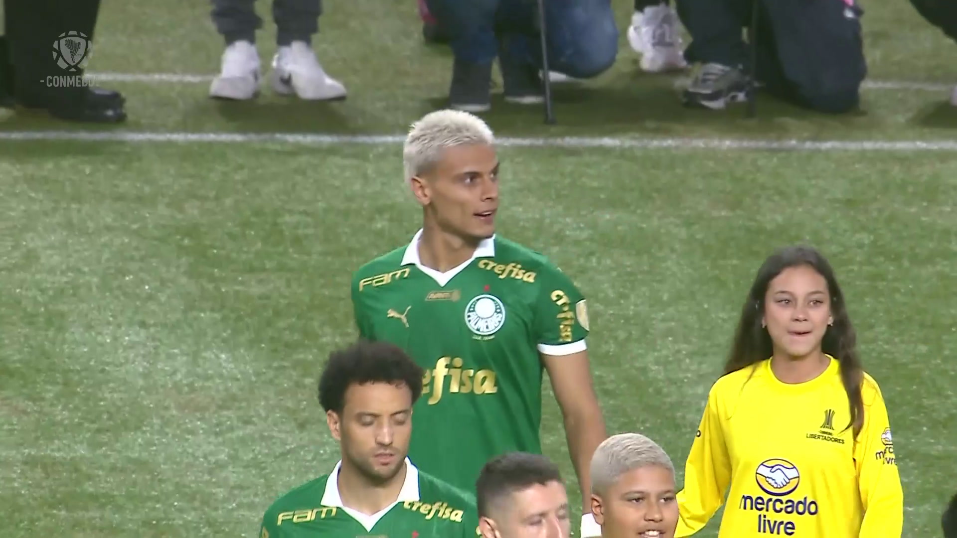 Torcida do Palmeiras cria mosaico inspirador antes da decisão contra Botafogo.