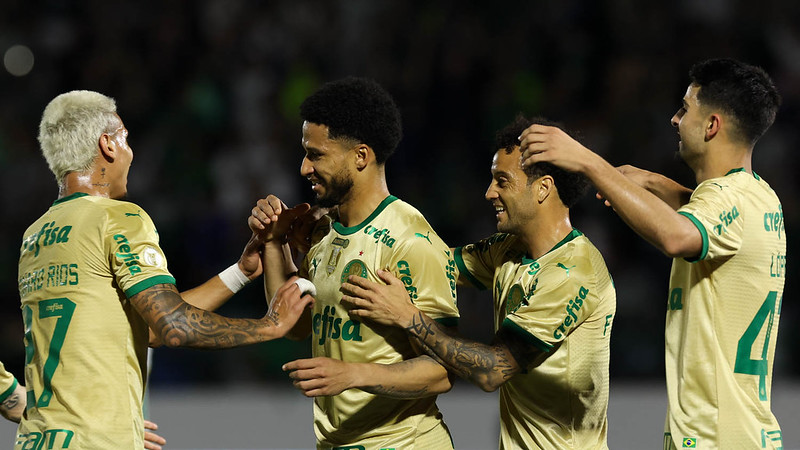 Palmeiras Segue Invicto e Busca Sequência de Vitórias no Brasileiro