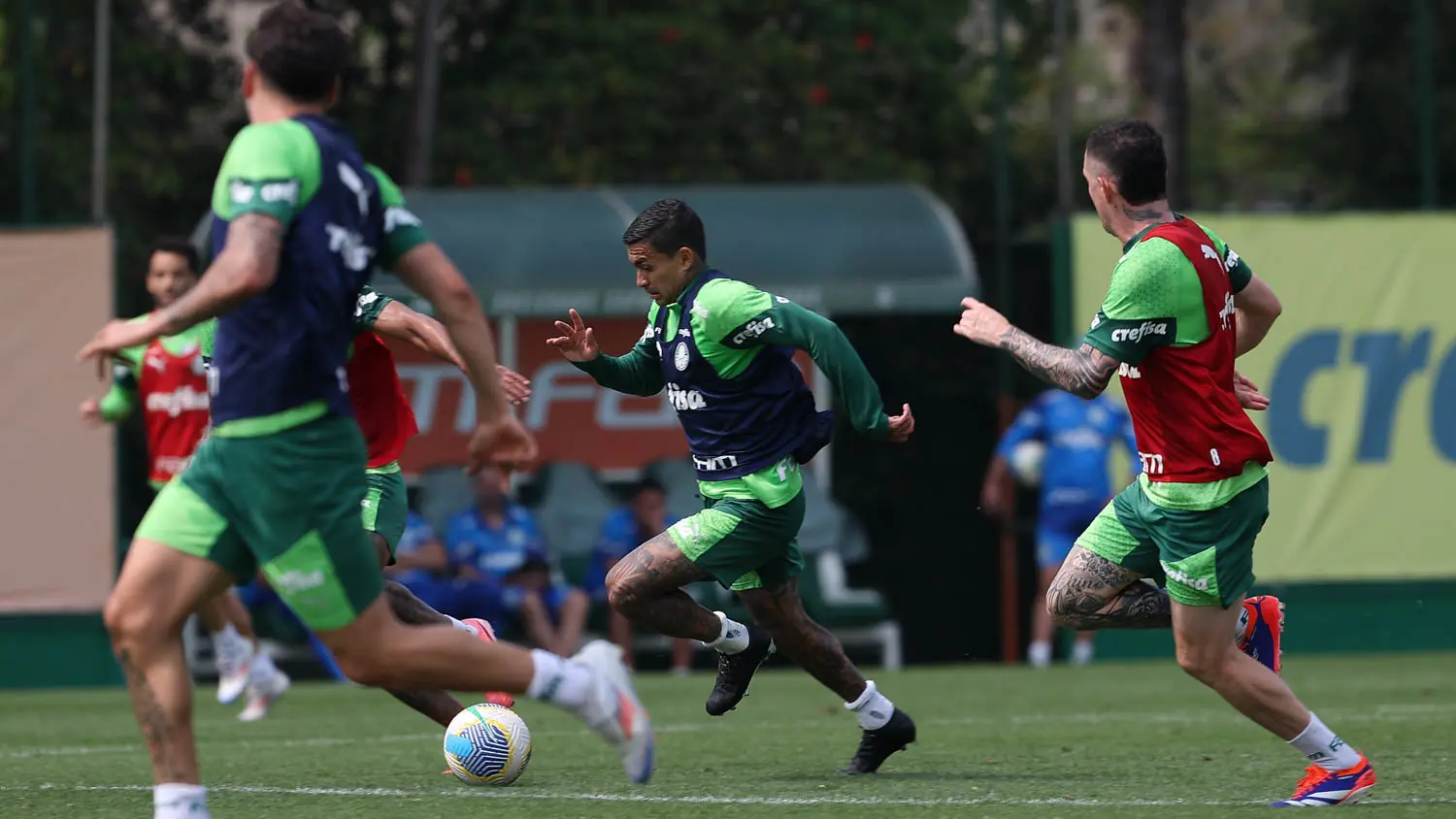 Fotos do treino de sábado do Palmeiras na Academia de Futebol.