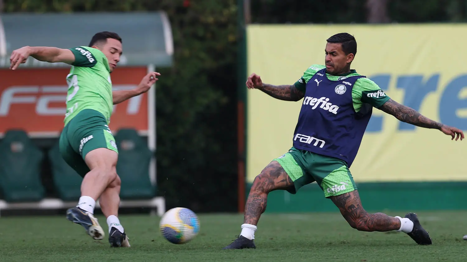 Treinamento do Palmeiras: imagens do treino desta terça-feira no CT alviverde