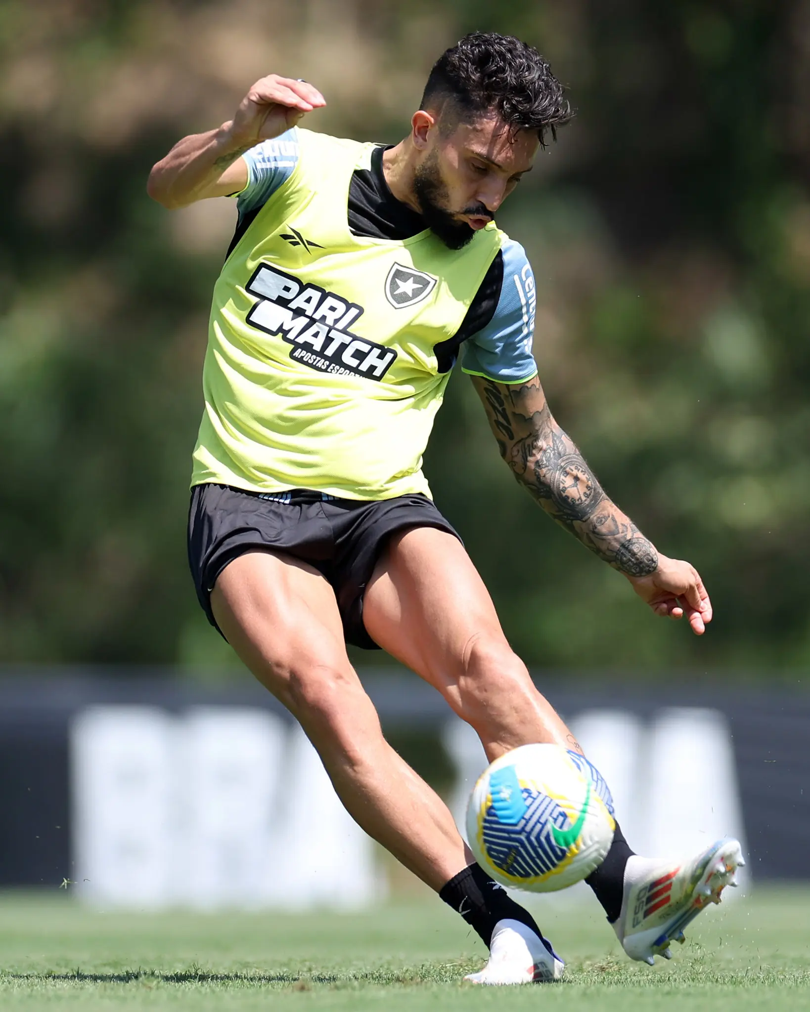 Botafogo divulga relacionados com 2 reforços para enfrentar o Corinthians