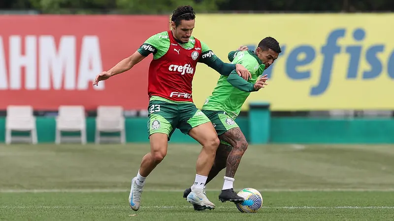 Palmeiras planeja retorno ao Mané Garrincha e foca no duelo contra o Vasco