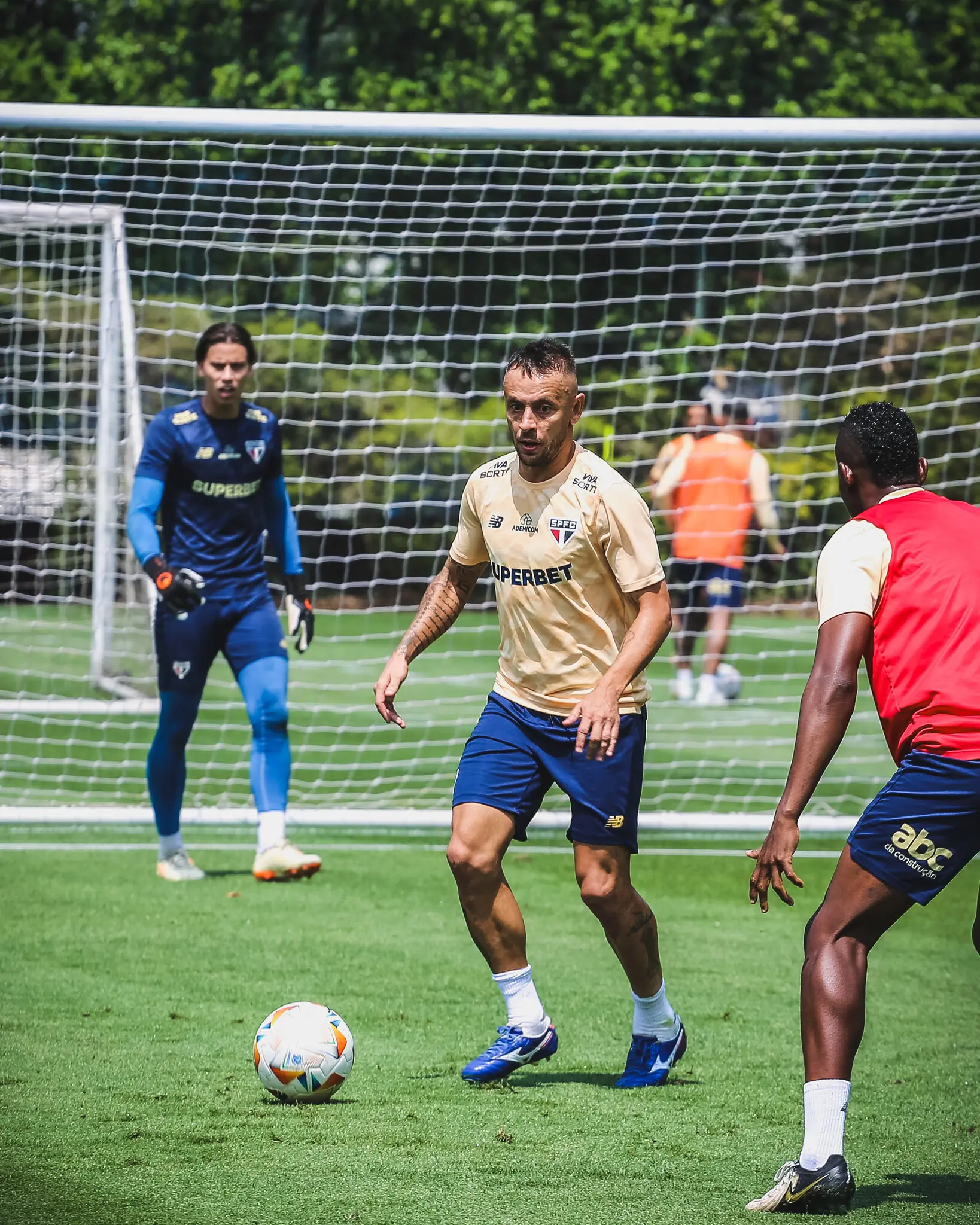 Imagem ilustrativa para a matéria