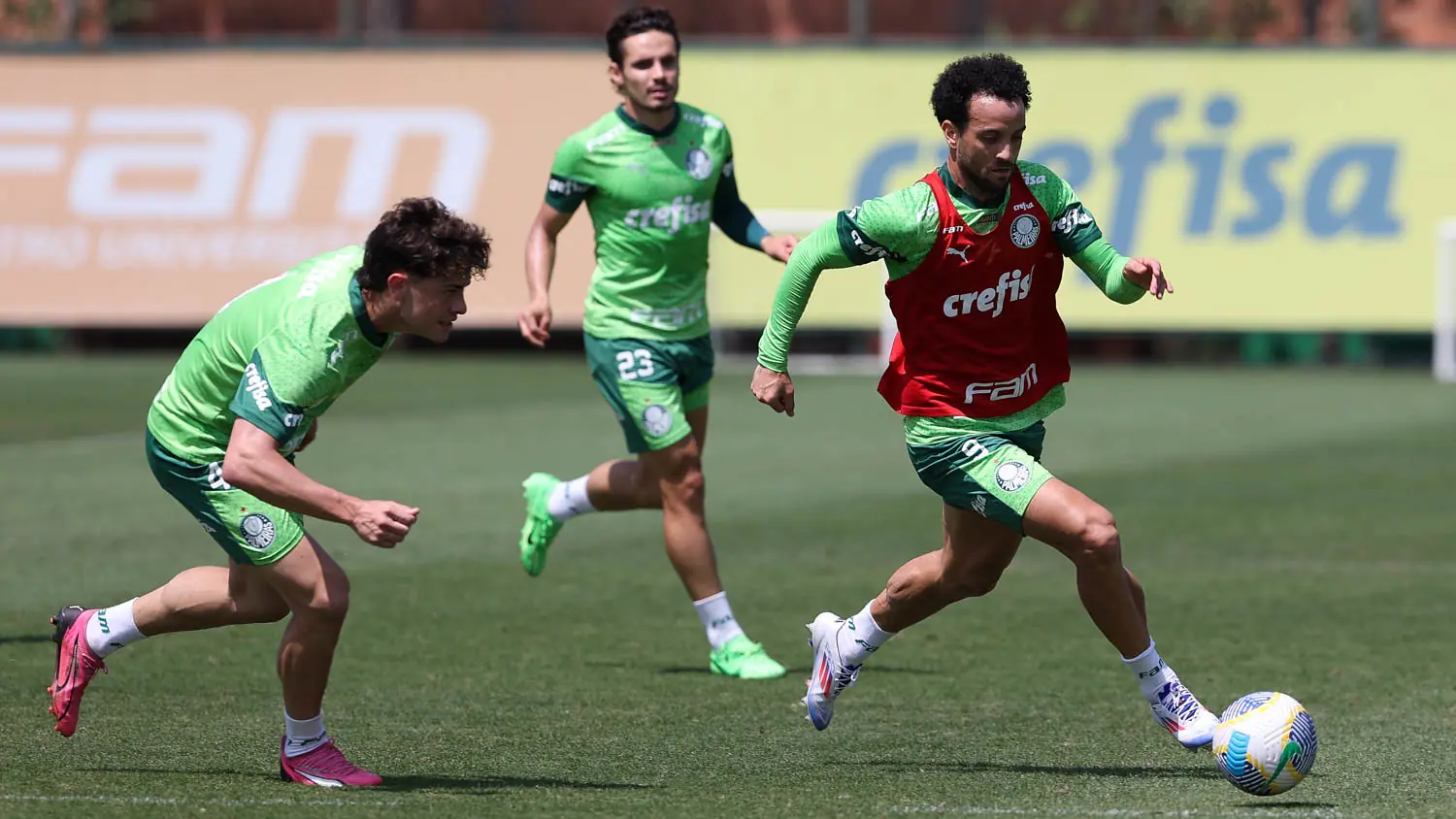 Treino do Palmeiras desta Quarta-feira: Galeria de Fotos Mostra Preparação da Equipe