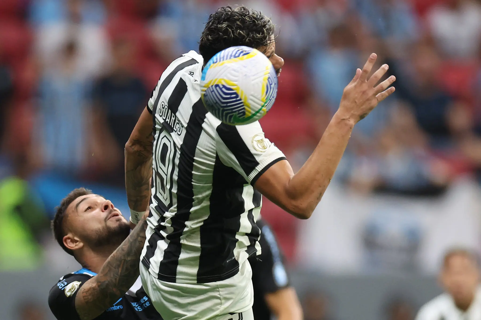 Botafogo empata com o Grêmio e vê o Palmeiras encostar no Brasileirão