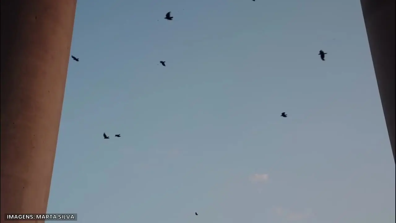 Imagem ilustrativa para a matéria