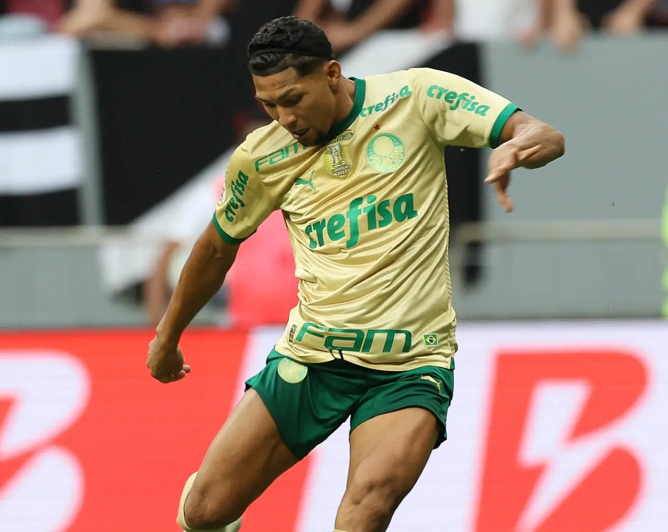 SECA DE GOLS! Rony busca encerrar jejum, após um mês sem marcar pelo Palmeiras