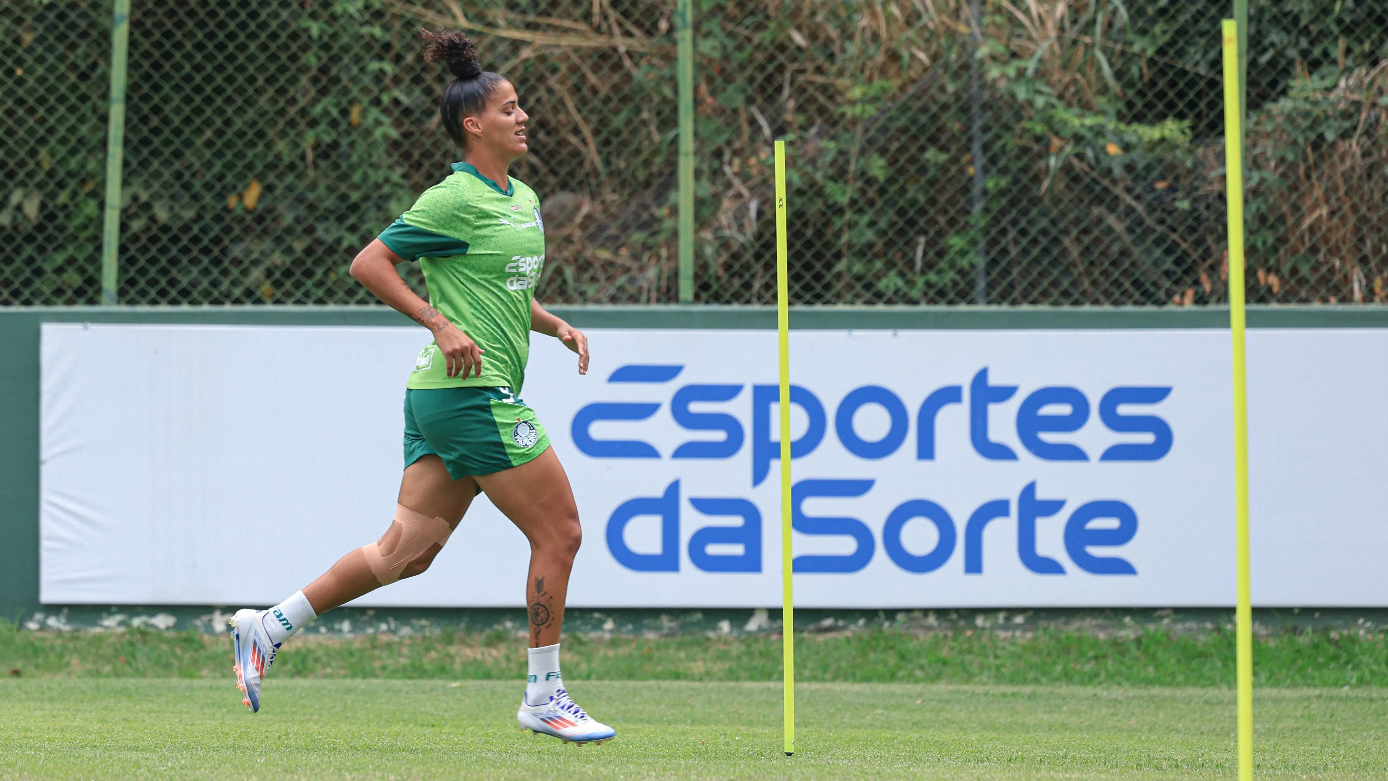 Palmeiras avalia decisão sobre patrocínio do time feminino após análise do jurídico.