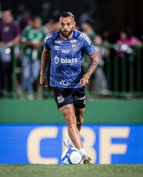 Imagem ilustrativa para a matéria