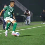 Guarani x Amazonas: veja prováveis escalações e onde assistir ao jogo da Série B do Brasileiro