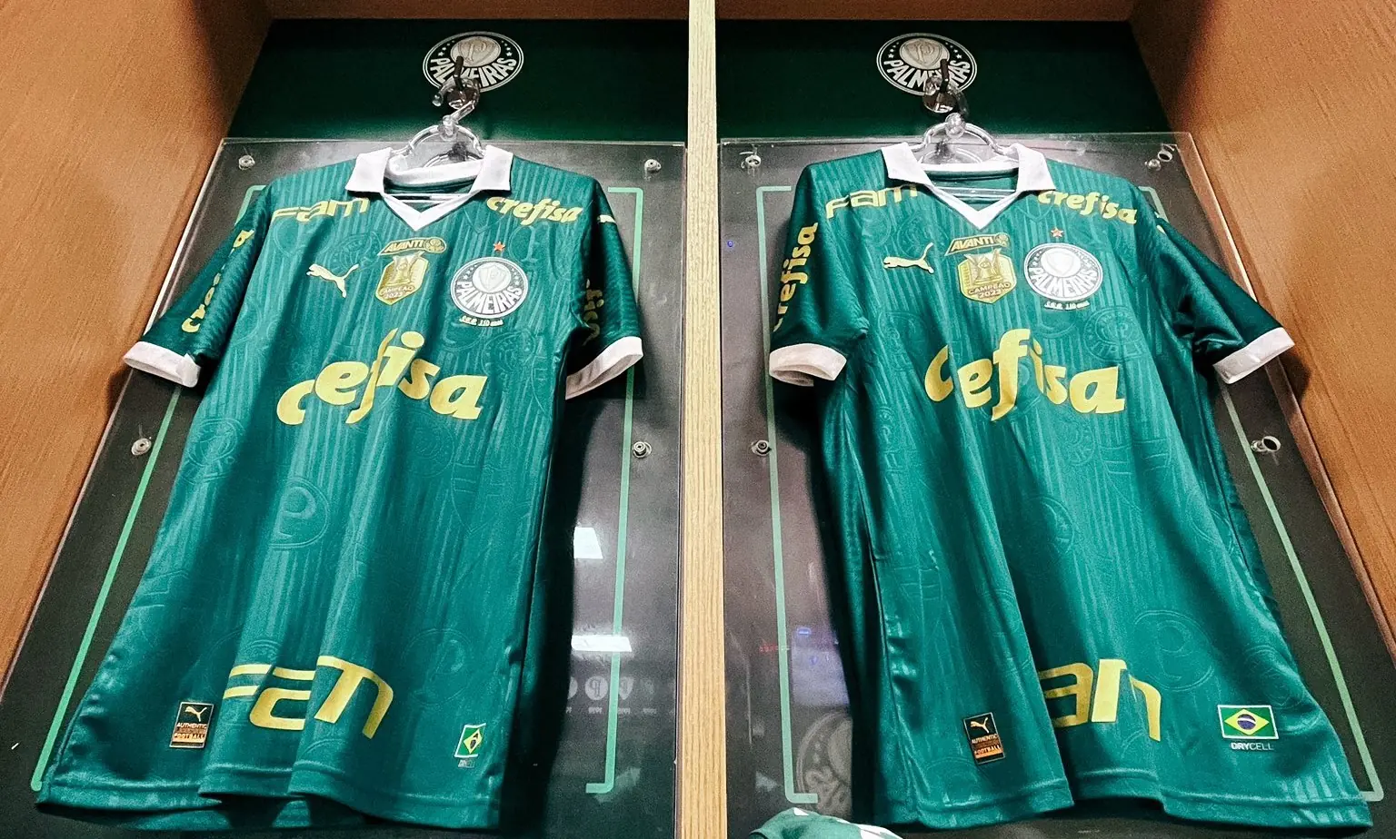 Imagem ilustrativa para a matéria