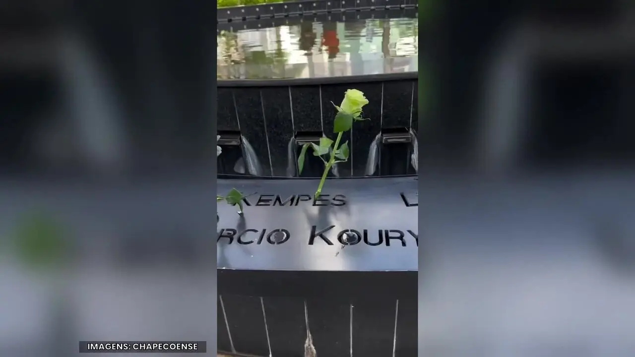 Imagem ilustrativa para a matéria