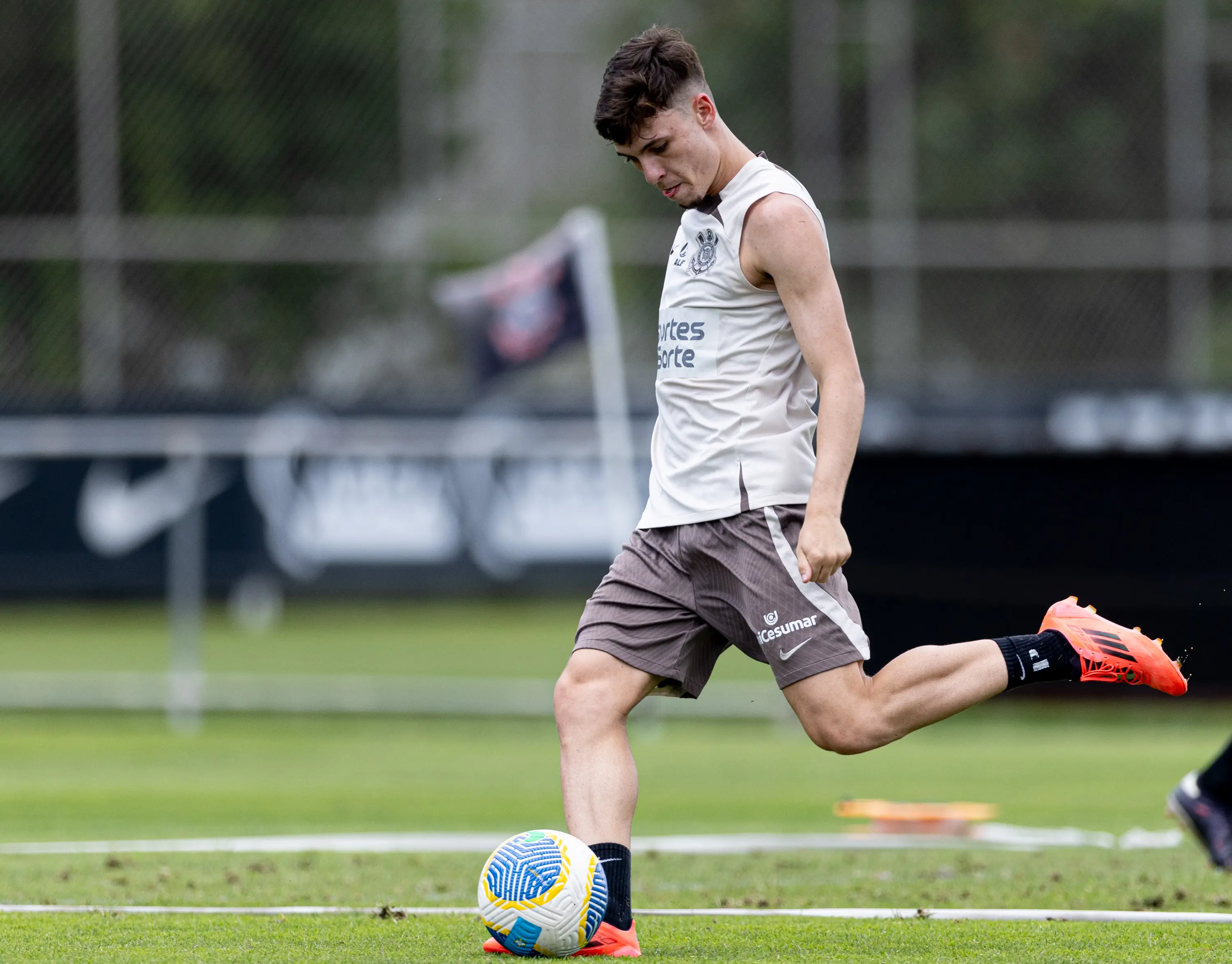 Imagem ilustrativa para a matéria