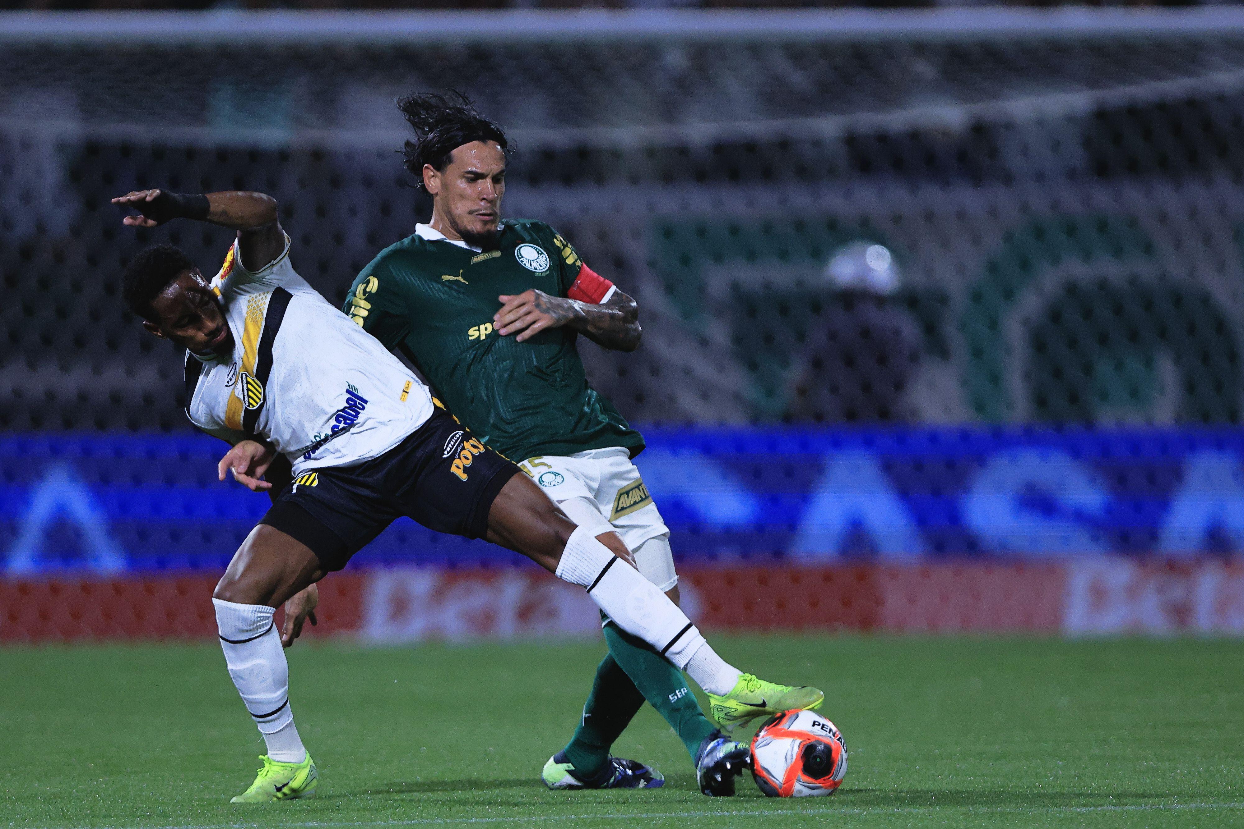 Jogo do Palmeiras hoje, 28/01/2025: veja horário e onde assistir