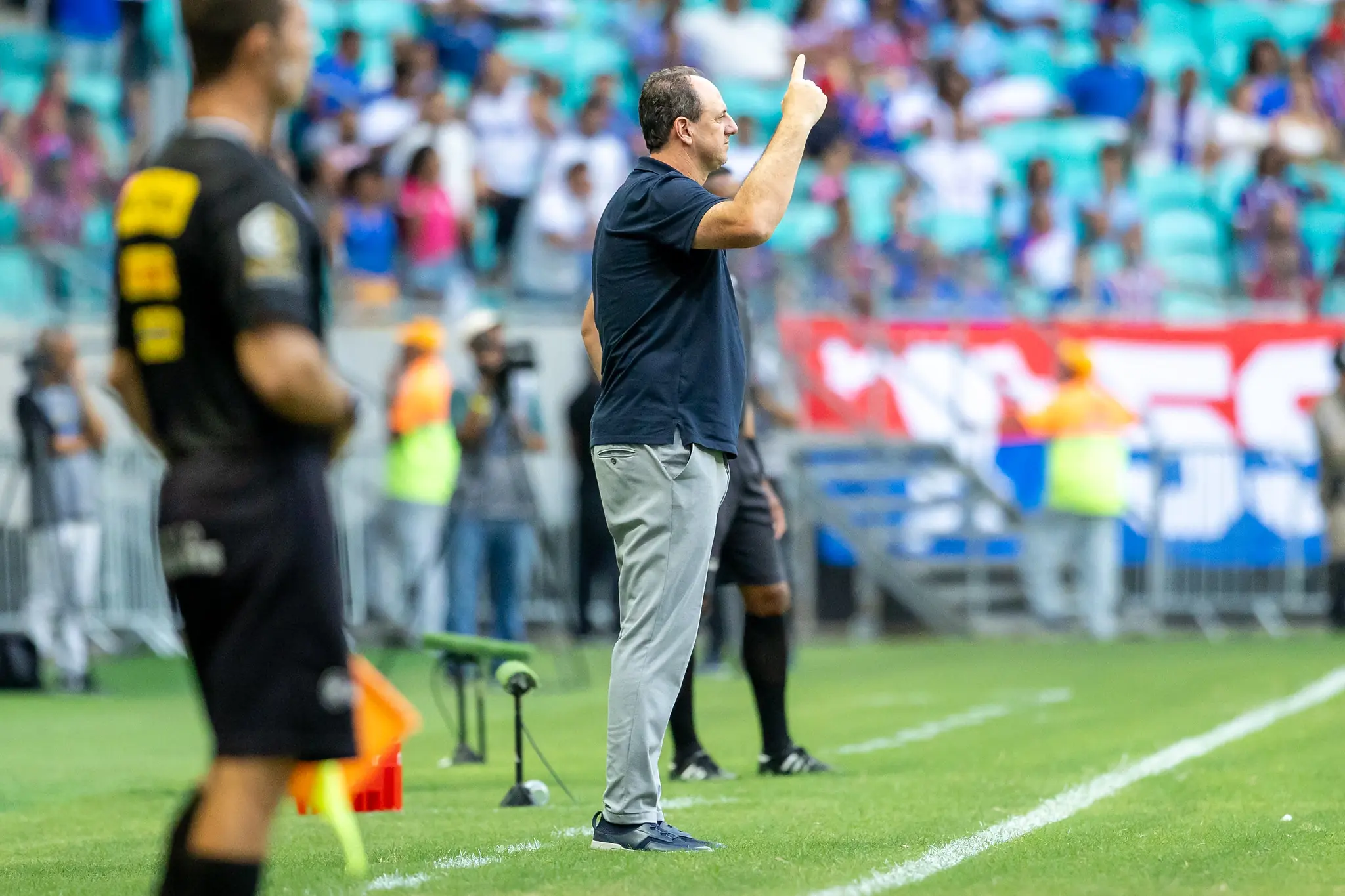 Imagem ilustrativa para a matéria