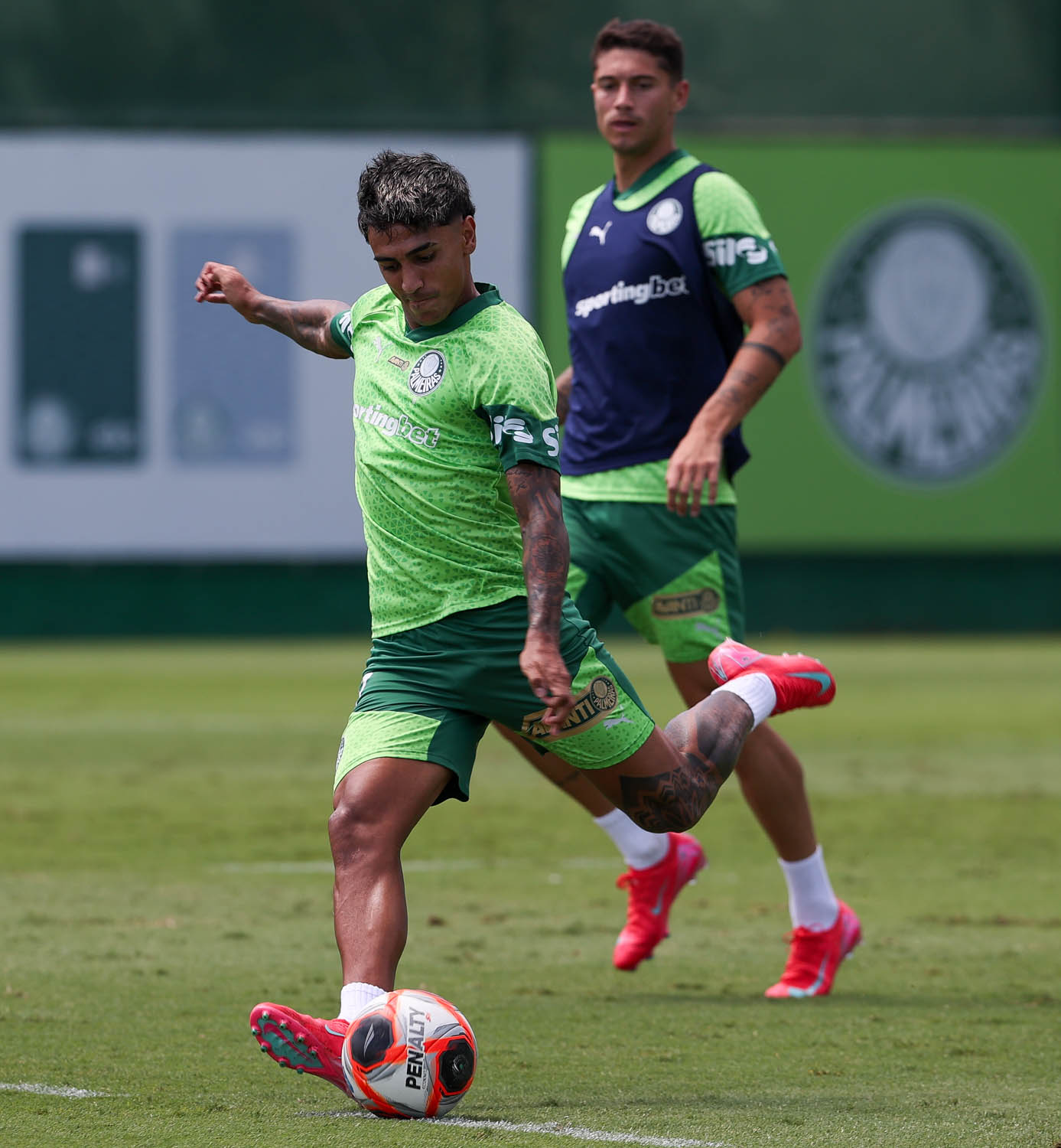 Facundo Torres analisa desempenho no Palmeiras e planeja vitórias no Paulista.