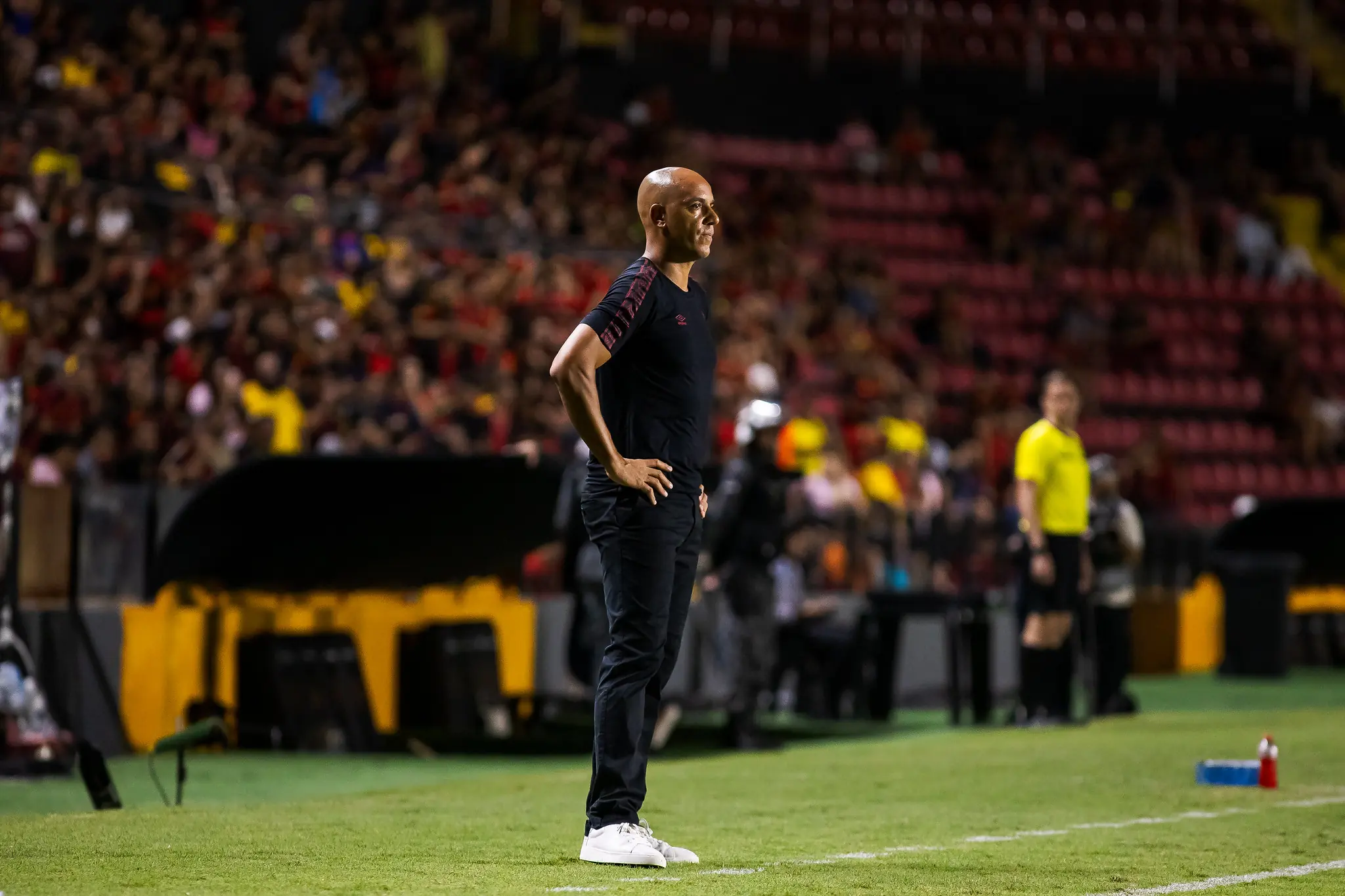 Imagem ilustrativa para a matéria