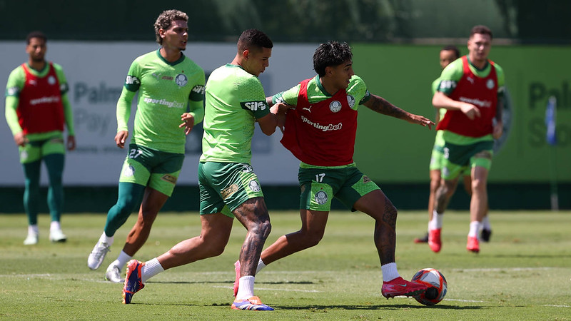 Palmeiras busca vaga na semifinal do Paulista pelo 12º ano consecutivo