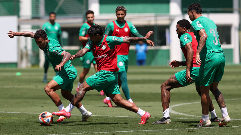Treino do Palmeiras reforça preparação para semifinal do Paulista nesta quarta-feira.