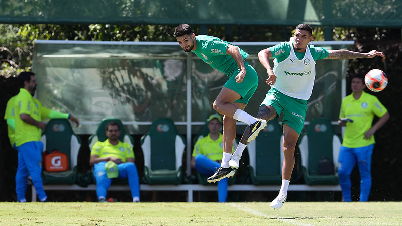 Treino do Palmeiras: Imagens de Preparação para Próximo Jogo no Brasileirão.