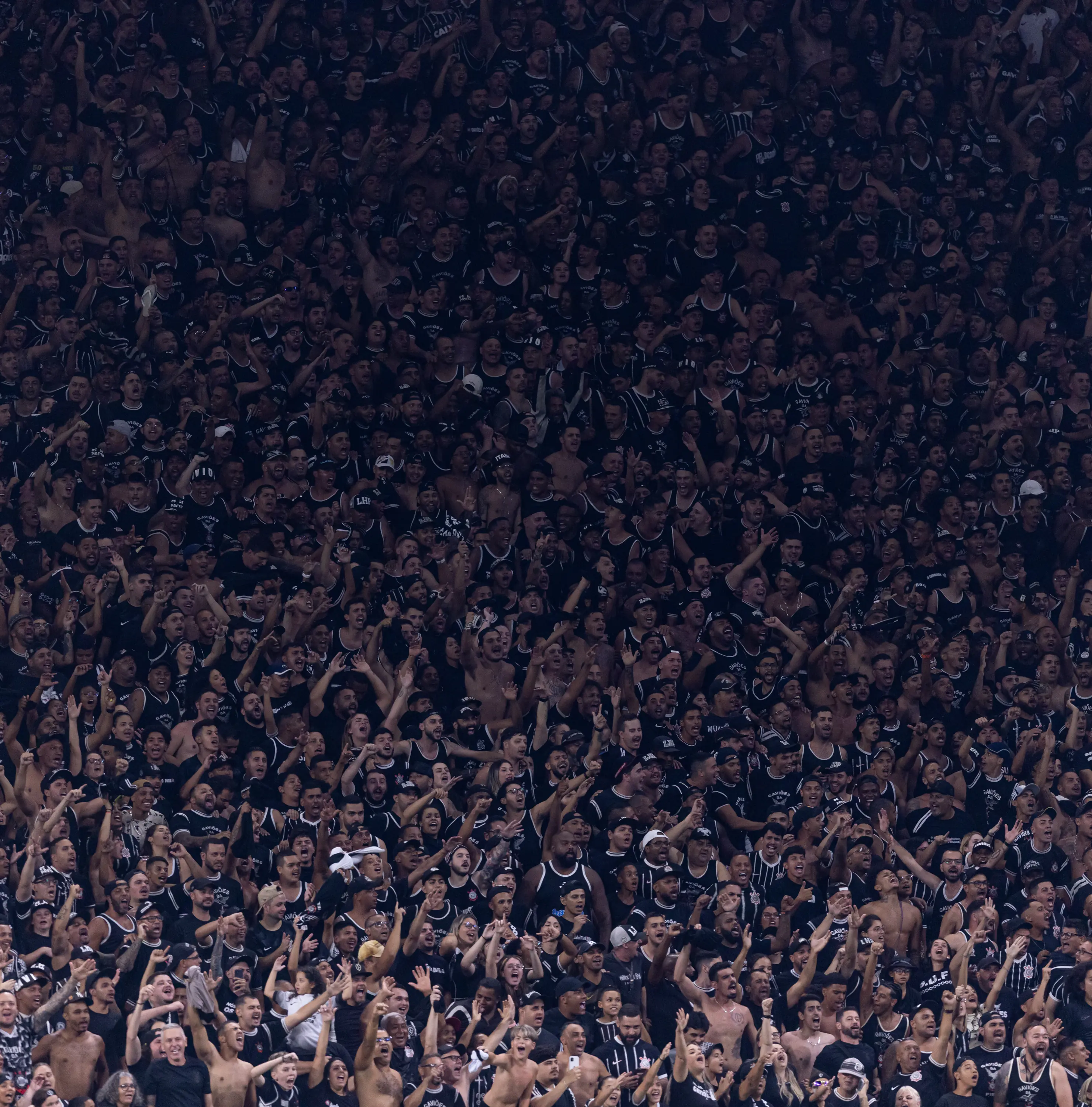 Imagem ilustrativa para a matéria